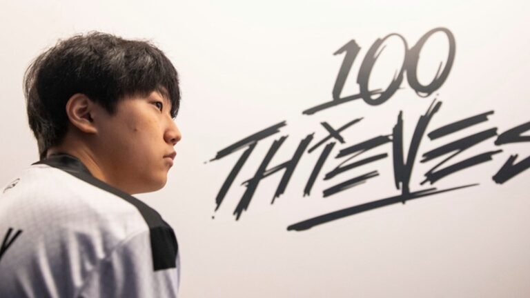 100 thieves