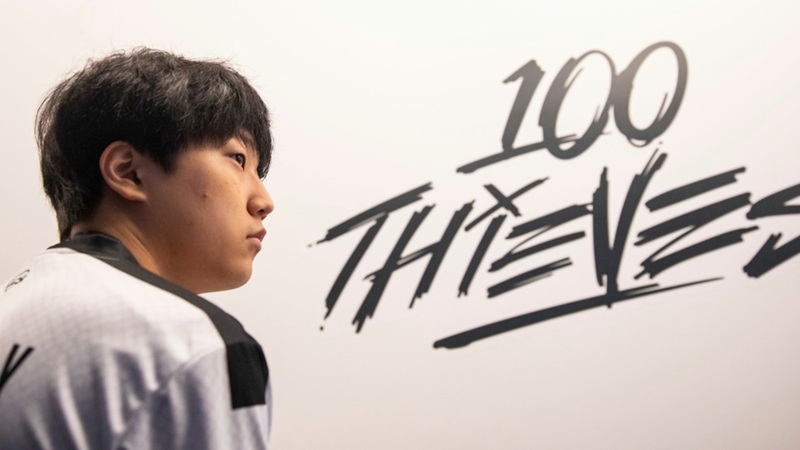 100 thieves